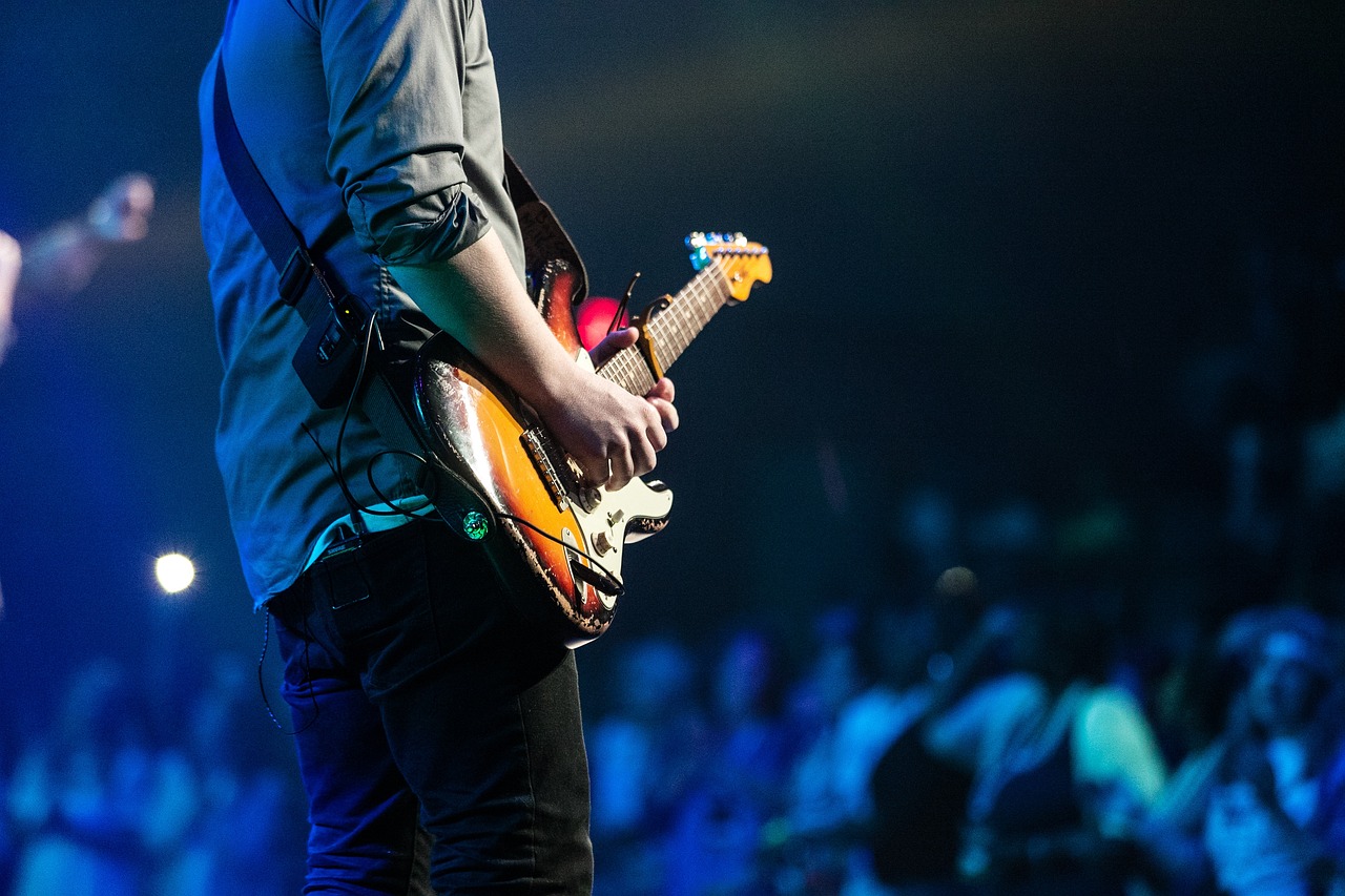 audience, concert, guitar-1835431.jpg